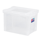 Kit 5 Caixas Organizadoras Plástico Transparente 30L 30,7x42,5x30,5cm Radical Color Ordene