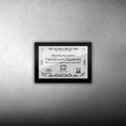 Kit 5 Certificados/diplomas A4 Com Tela De Acetato E Mdf - Mo