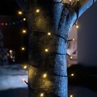 Kit 5 Cordão 100 Led Fixo Branco Morno Fio Verde Blindado 220v