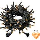 Kit 5 Cordão De Led Branco Quente 100 Lâmpadas Fixo Fio Verde