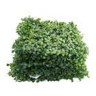 Kit 5 Grama Buchinho 25cmx25cm