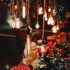 Kit 5 Lâmpadas Retrô Led T185 4w Bivolt