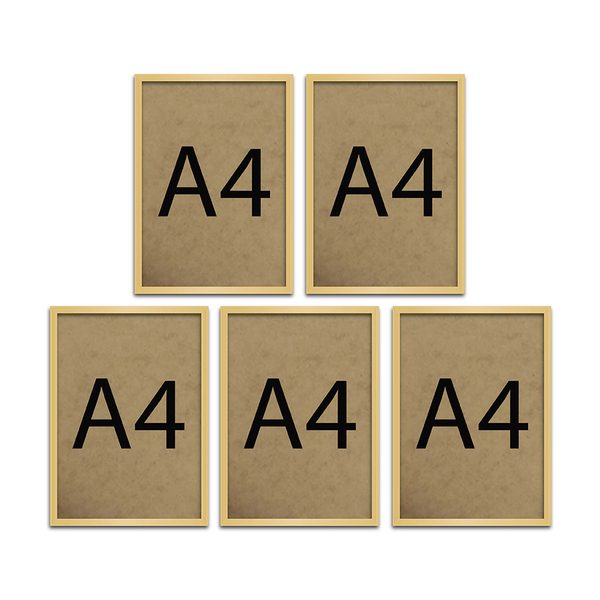 Kit 5 Molduras Quadro Certificado Diploma A4 Com Fundo Mdf -