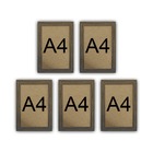 Kit 5 Molduras Quadro Certificado Diploma A4 Com Fundo Mdf -