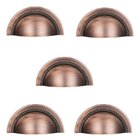 Kit 5 Puxador Shell 48 Mm Zen Vecchio Cobre  Concha