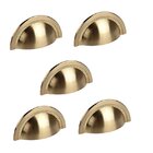 Kit 5 Puxador Shell Gold Escovado Zen 64mm Zp4318.b00