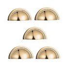 Kit 5 Puxador Shell Zen 64mm Gold (dourado Brilhante)