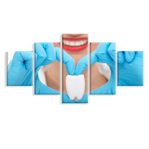 Kit 5 Telas Decorativas Amor Por Odonto