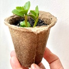 Kit 5 Vasos Fibra Biodegradável Bege Nagmobio