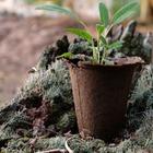 Kit 5 Vasos Fibra Biodegradável Marrom  Nagmobio