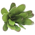 Kit 6 Bromélia Planta Artificial Plástico 28cm