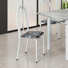 Kit 6 Cadeiras Tubular 96x36x41 Cm Iris B Preto Floral / Bran
