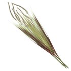 Kit 6 Folhagens Capim Verde Rabo De Raposa Artificial 80cm