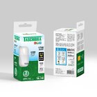 Kit 6 Lâmpadas Led Bulbo Tkl 17w Taschibra E27 Bivolt 6500k L