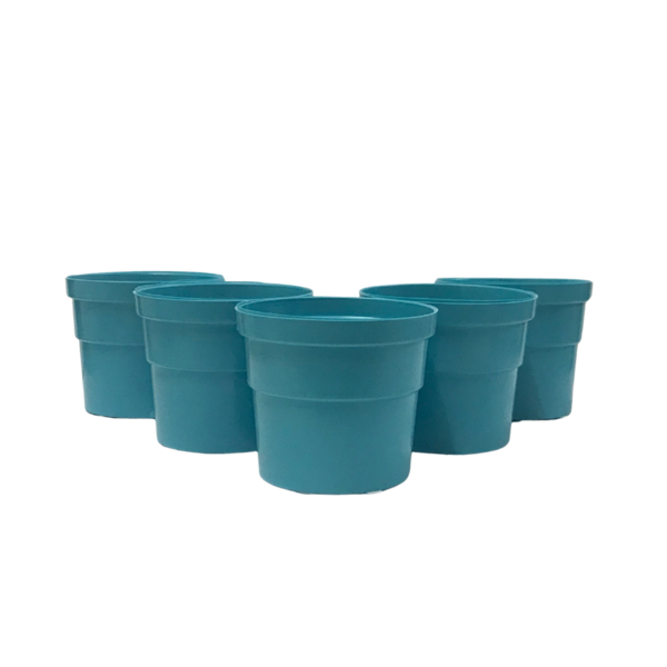 Kit 6 Mini-vasos Para Plantas E Suculenta 80ml Várias Cores A