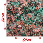 Kit 6 Placas Muro Inglês Jardim Vertical Avermelhada 40x60cm