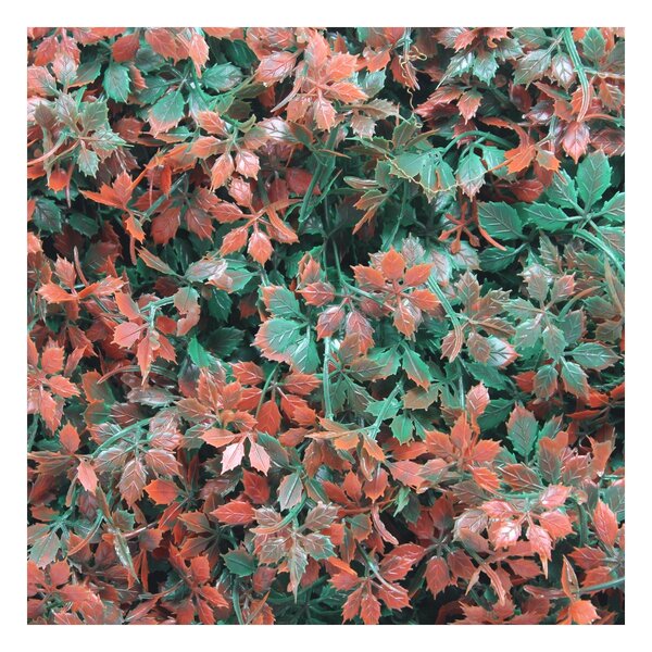 Kit 6 Placas Muro Inglês Jardim Vertical Avermelhada 40x60cm