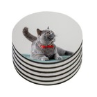 Kit 6 Porta Copos Personalizados Gatinho Persa Siamês Raças R