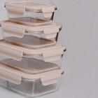 Kit 6 Potes De Vidro Borossilicato 1,04l Tampa Hermética Capu