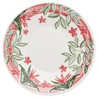 Kit 6 Pratos Fundos Biona Jardim Tropical Oxford® Cerâmica 22