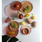 Kit 6 Pratos Rasos Orgânicos 26cm Lyor Colorido Mesa Posta Se