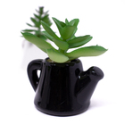 Kit 6 Suculentas Artificiais Com Vaso De Cerâmica 9 5x8x6 Cm