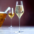 Kit 6 Taças De Cristal Espumante 310ml Classic Dandy Oxford