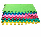 Kit 6 Tapetes Tatame Eva Infantil 60x60 10mm Colorido