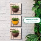 Kit 6 Unidades Decks De Madeira Modular 30x30 Cm Sacada E Var