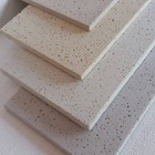 Kit 6pçs Borda Piscina Atermica Sb 50x25x2,0cm Cinza - Silvan