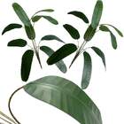 Kit 7 Arbustos Artificiais - Heliconia Verde Decorativa Ideal