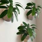 Kit 7 Arbustos Artificiais - Heliconia Verde Decorativa Ideal