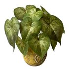 Kit 7 Buquês Artificiais 30x30 - Planta Com Folhagens Vivas P