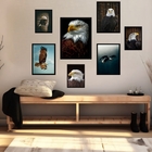 Kit 7 Quadors Decorativos Águia - Com Vidro Moldura Preta