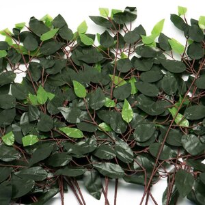 Foto de Kit 84 Galhos Folha Decorativa Artificial Muro Inglês Ficus