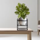 Kit 8 Buquês De Costela De Adão Artificial Com Silicone Reali