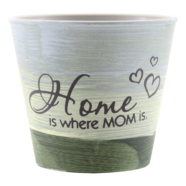 Kit 8 Mini Vasos De Planta Cachepot Estampados Decorados 11cm