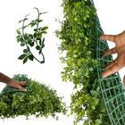 Kit 8 Painéis Artificiais Folhagens Exuberantes Com Alta Dens