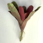 Kit 8 Pçs Bromélia Planta Artificial Elegante 8 Folhas 21cm