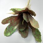 Kit 8 Pçs Bromélia Planta Artificial Elegante 8 Folhas 21cm