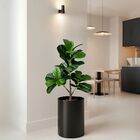 Kit 8 Plantas Artificiais Folhagens Realistas Ficus Lyrata Ar