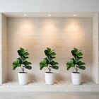 Kit 8 Plantas Artificiais Folhagens Realistas Ficus Lyrata Ar