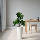 Kit 8 Plantas Artificiais Folhagens Realistas Ficus Lyrata Ar