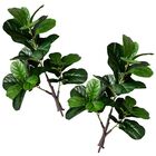 Kit 8 Plantas Artificiais Folhagens Realistas Ficus Lyrata Ar