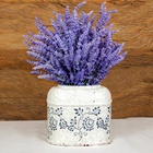 Kit 8 Sementes De Flores - Lavanda + Margarida + Onze Horas