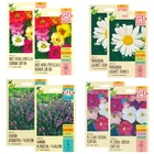 Kit 8 Sementes De Flores - Lavanda + Margarida + Onze Horas