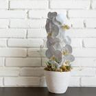 Kit 9 Hastes De Orquídea Artificial Flor Branca Com Miolos Am