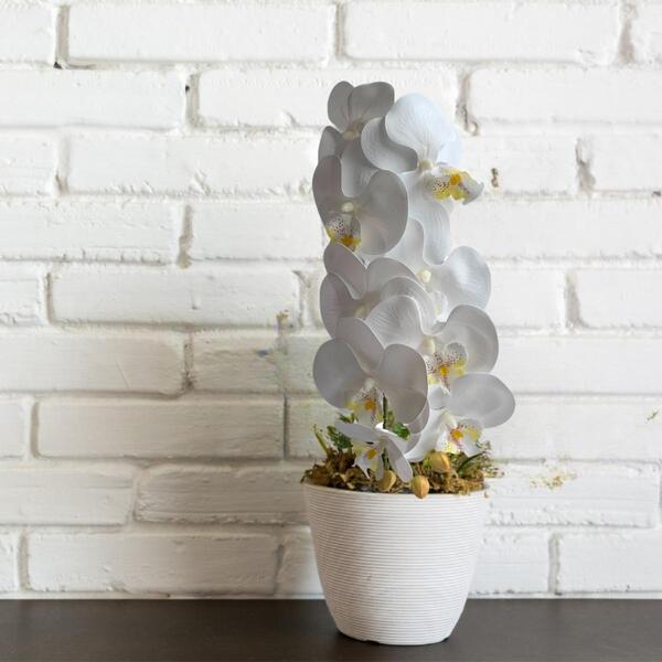 Kit 9 Hastes De Orquídea Artificial Flor Branca Com Miolos Am