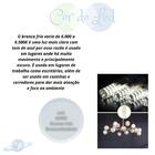 Kit 9 Lâmpadas De Led Halopin G9 5w Branco Frio (6000k)