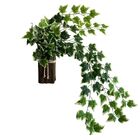 Kit 9 Trepadeiras De Folhagens Hera Artificiais Decoração Sus
